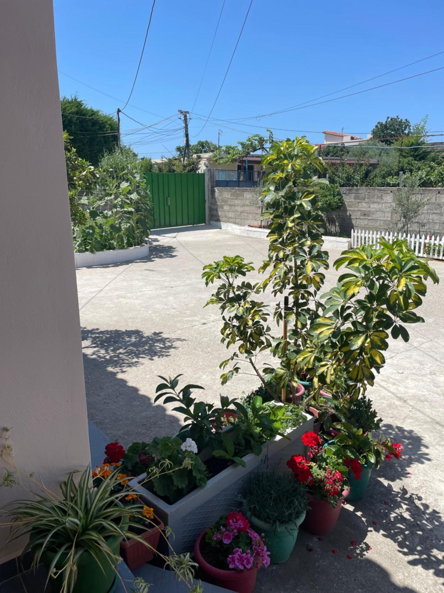 Rental Houses Dukaj Vlorë Exterior foto